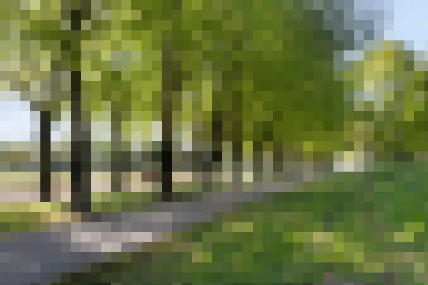 Boutershemstraat 10 Bergen op Zoom thumbnail 36