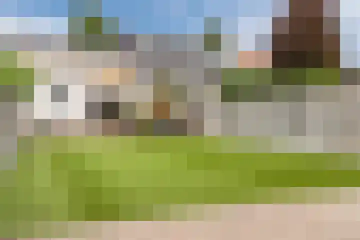 Boutershemstraat 15 Bergen op Zoom thumbnail 47
