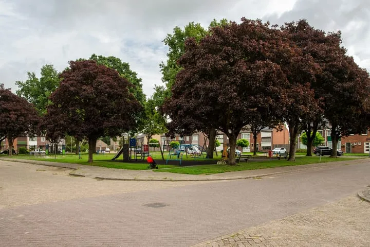Boutershemstraat 7 Wouw thumbnail 34