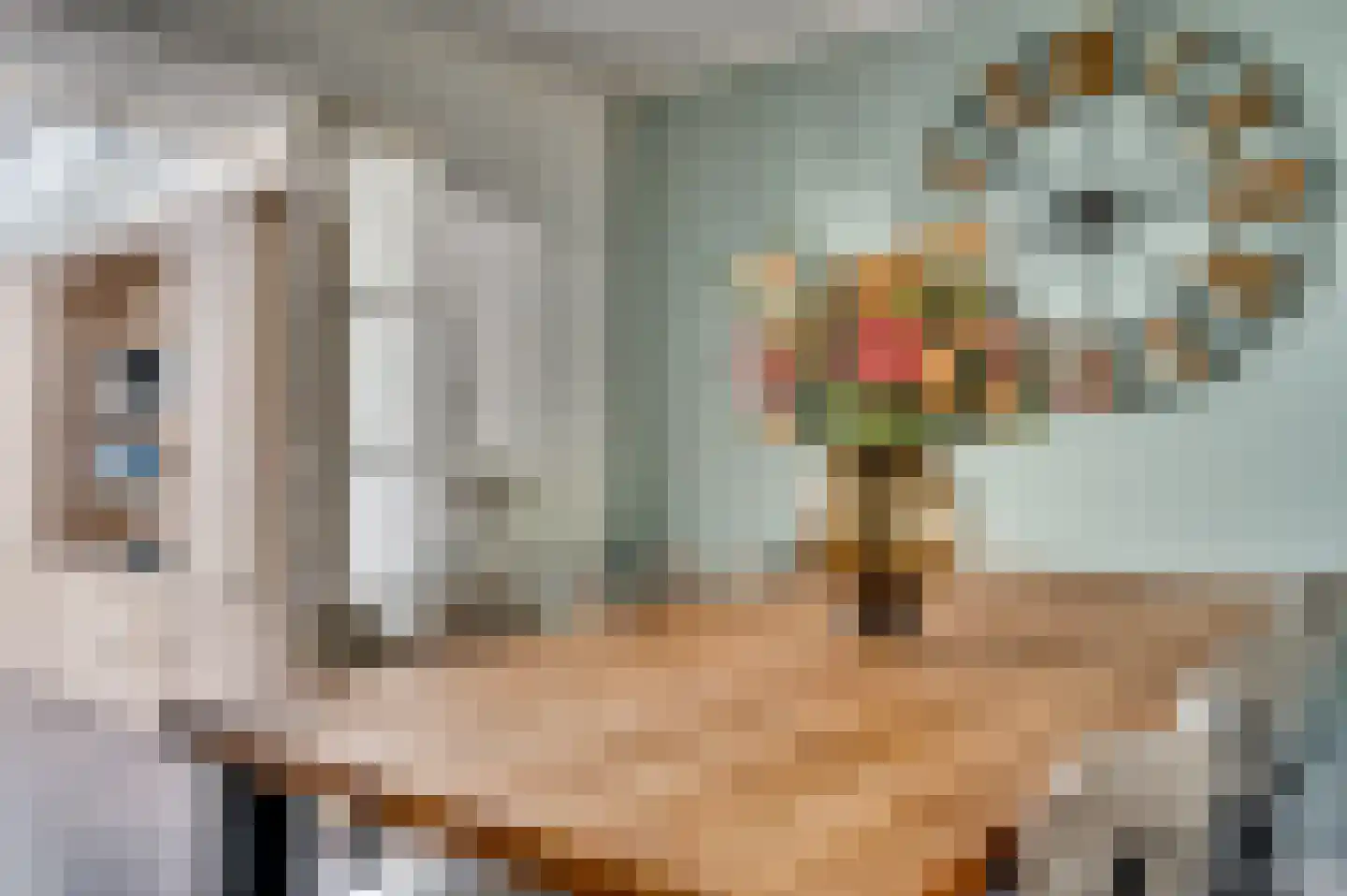 Bouteshof 21 Venlo thumbnail 12