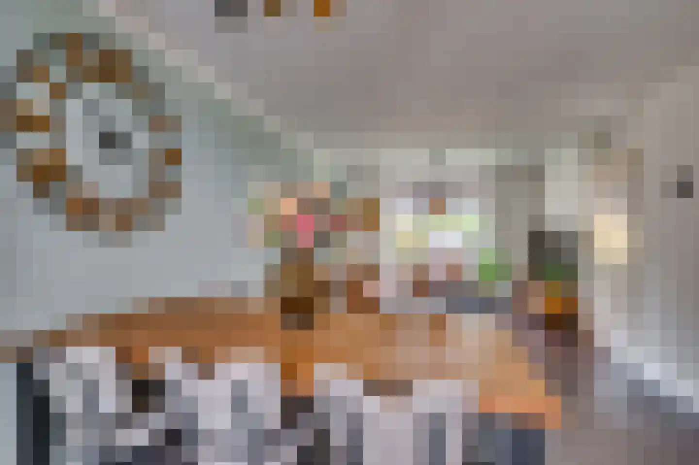 Bouteshof 21 Venlo thumbnail 15