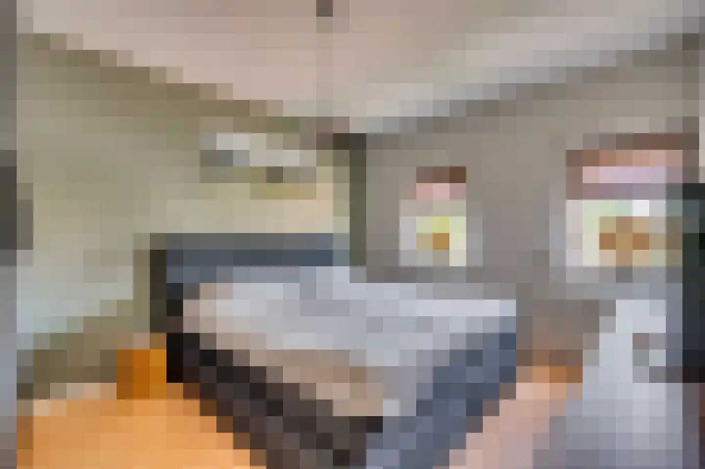 Bouteshof 21 Venlo thumbnail 23