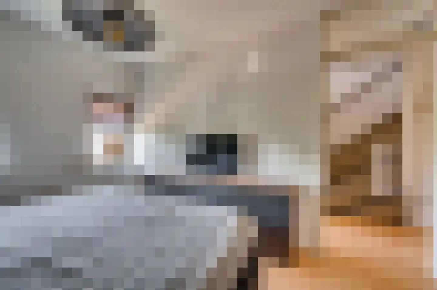 Bouteshof 21 Venlo thumbnail 24