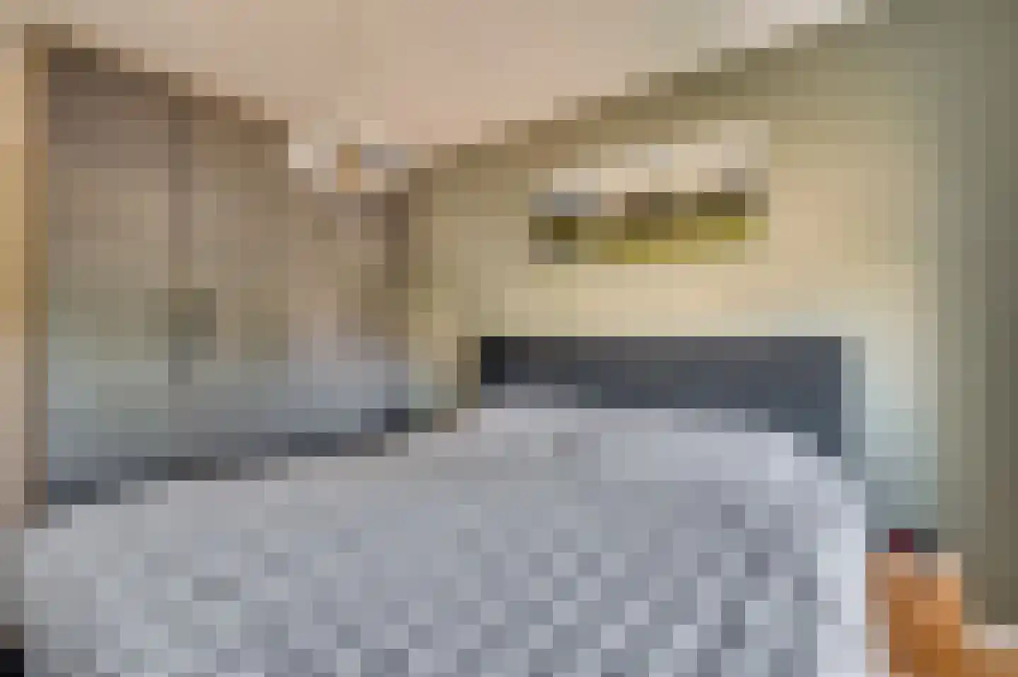 Bouteshof 21 Venlo thumbnail 25