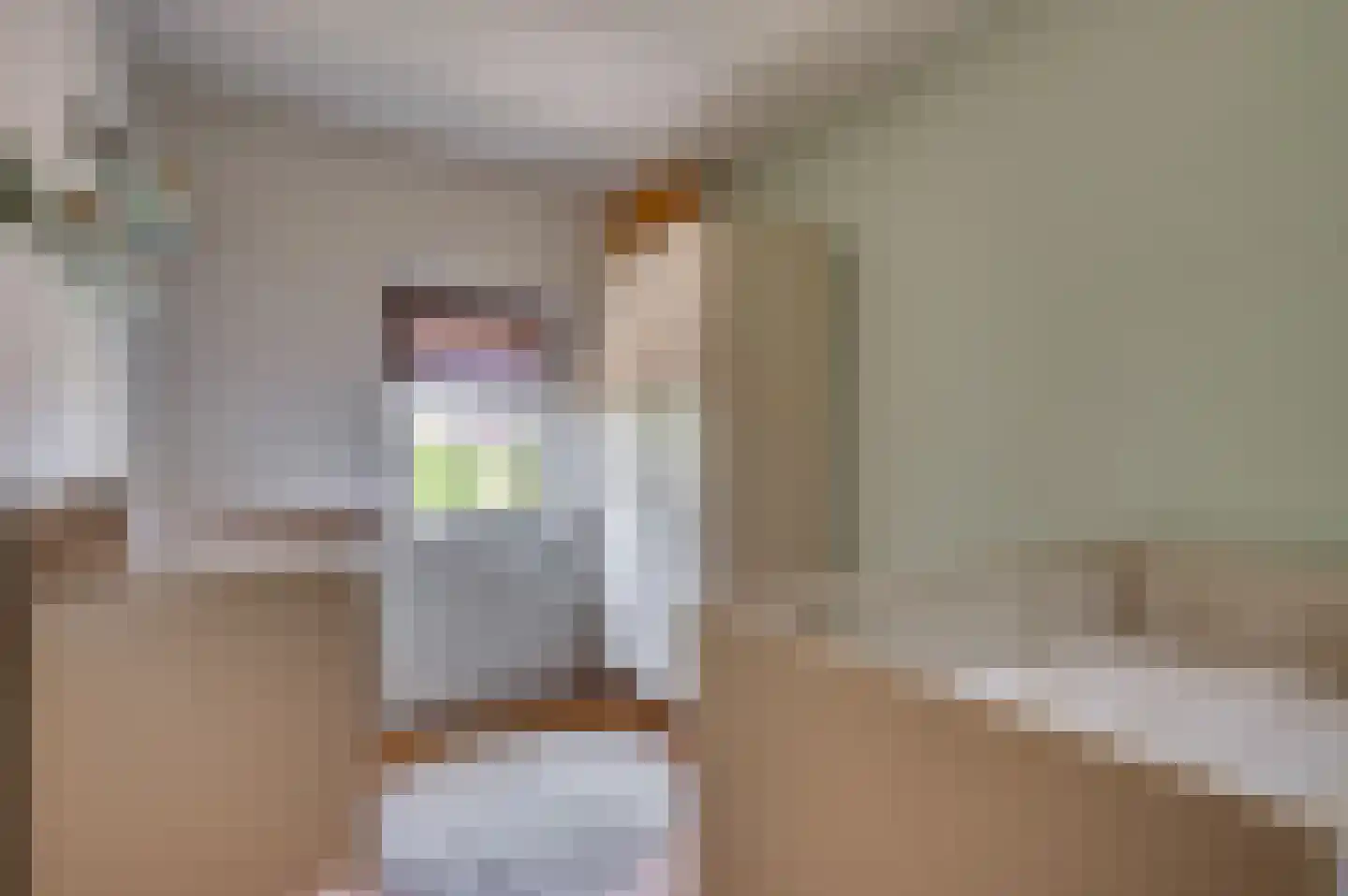 Bouteshof 21 Venlo thumbnail 26