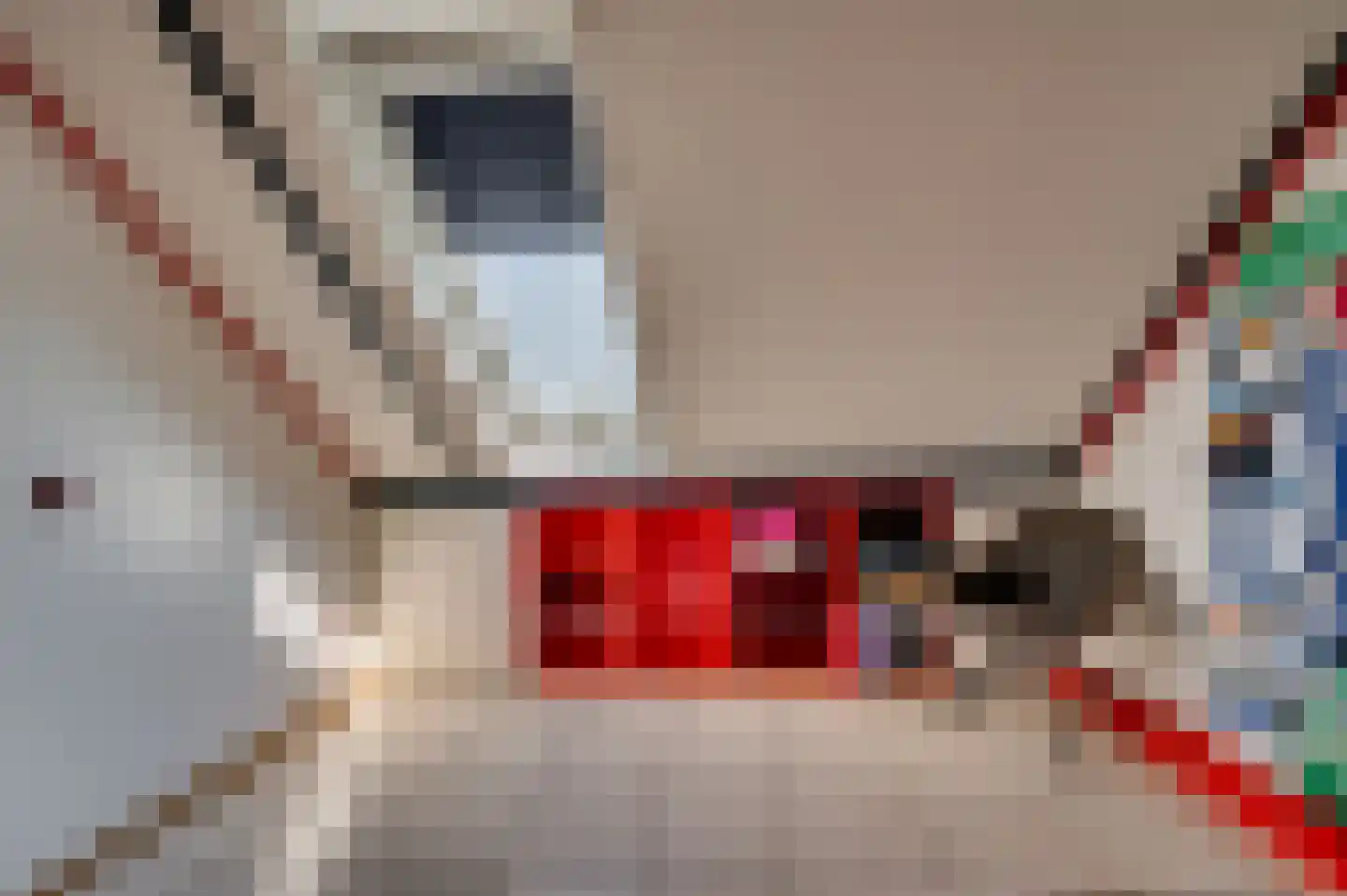 Bouteshof 21 Venlo thumbnail 38