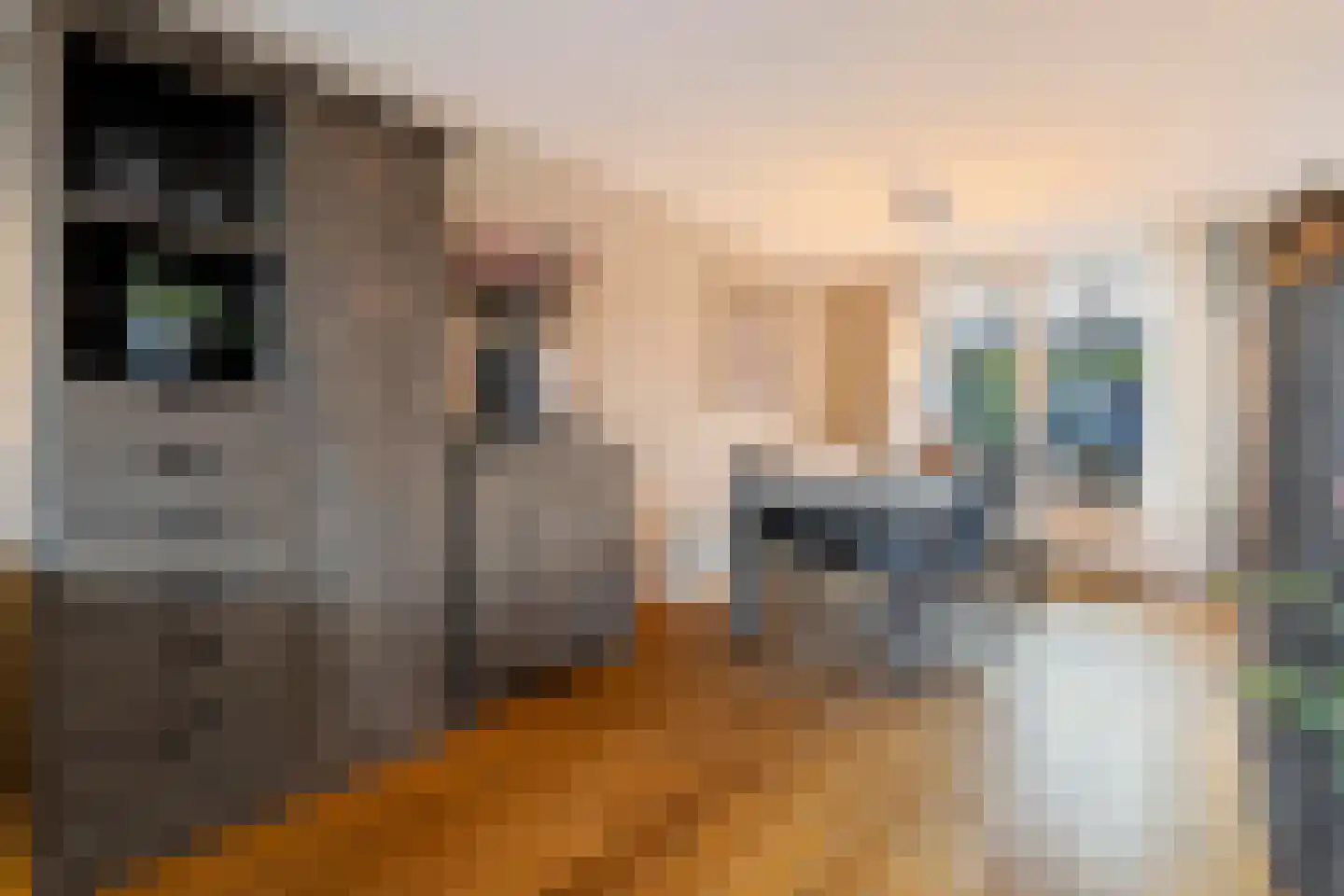 Bouteshof 3 Venlo thumbnail 13
