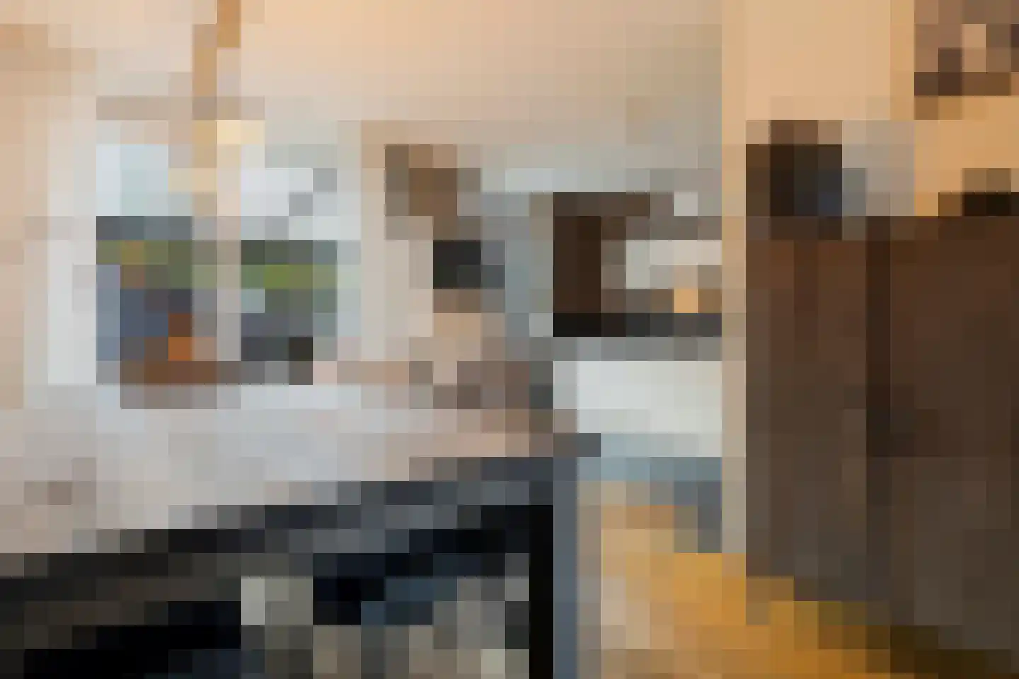 Bouteshof 3 Venlo thumbnail 15