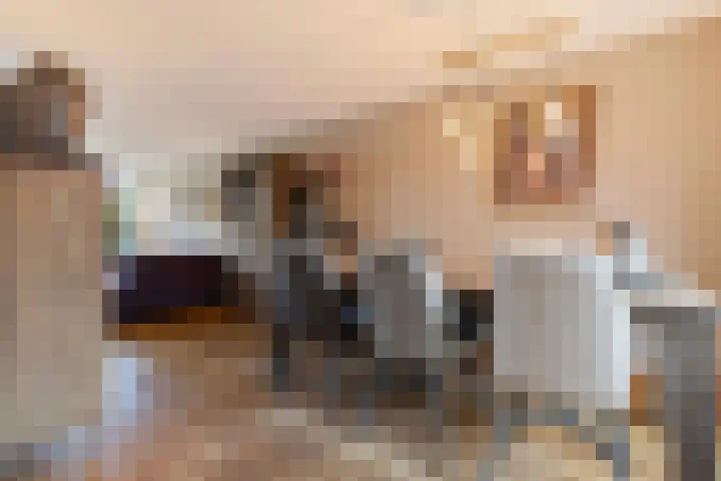 Bouteshof 3 Venlo thumbnail 16