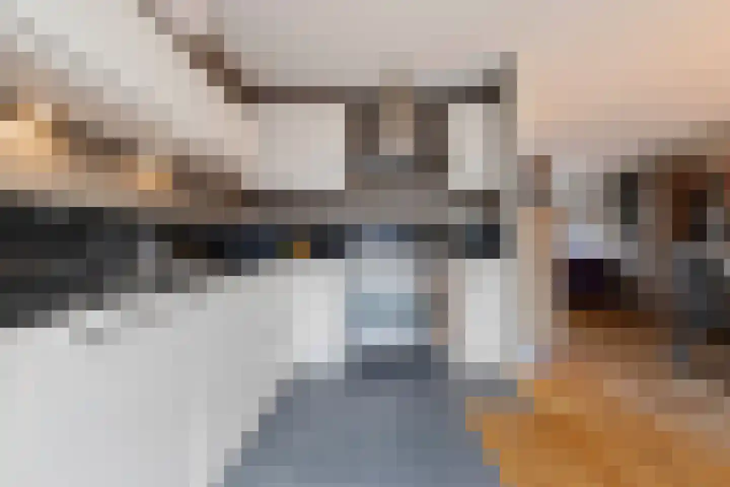 Bouteshof 3 Venlo thumbnail 21