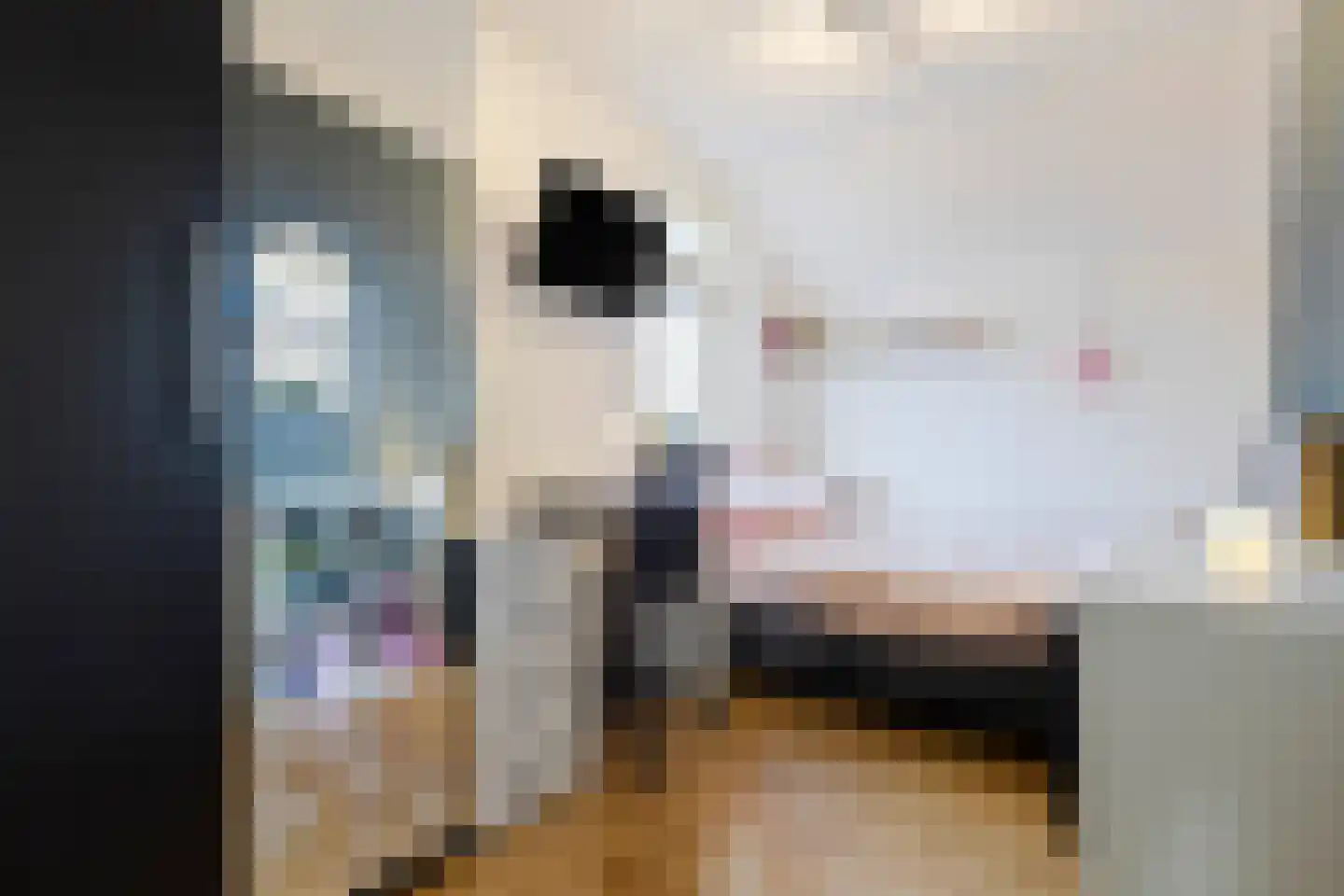 Bouteshof 3 Venlo thumbnail 31