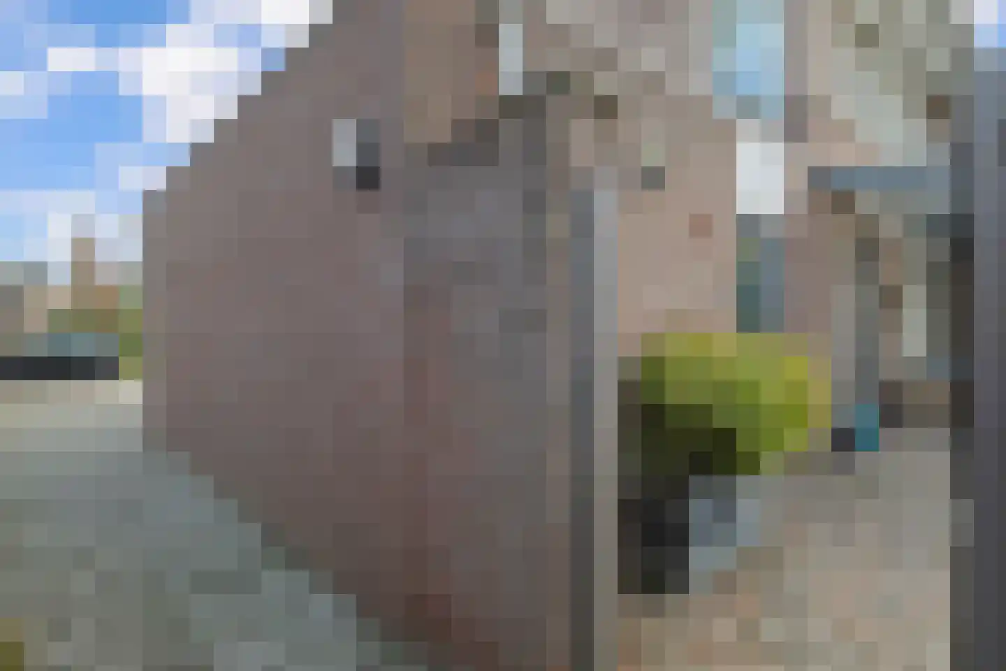 Bouteshof 3 Venlo thumbnail 42
