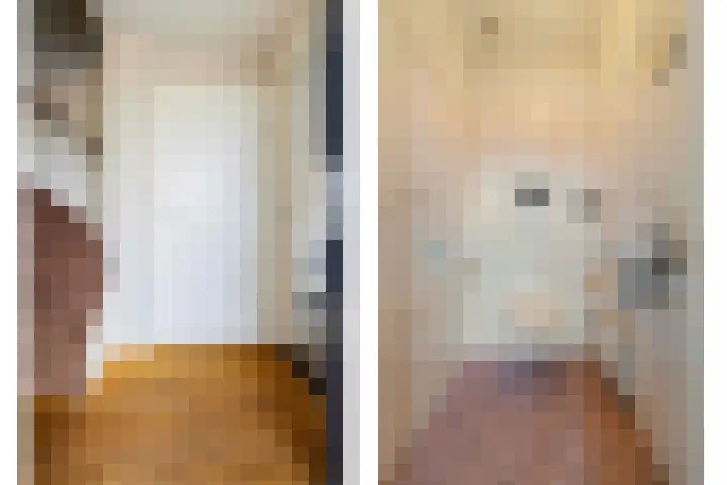 Bouteshof 3 Venlo thumbnail 6