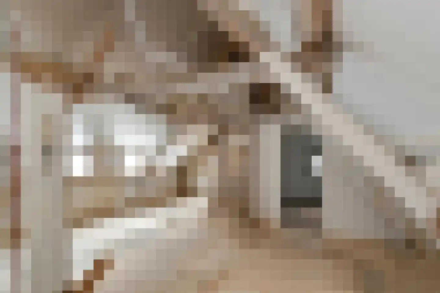 Boutestraat 18 Swalmen thumbnail 14