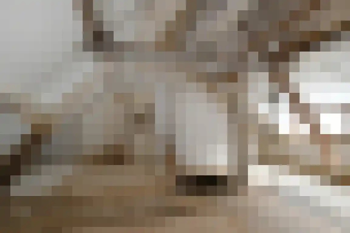 Boutestraat 18 Swalmen thumbnail 16