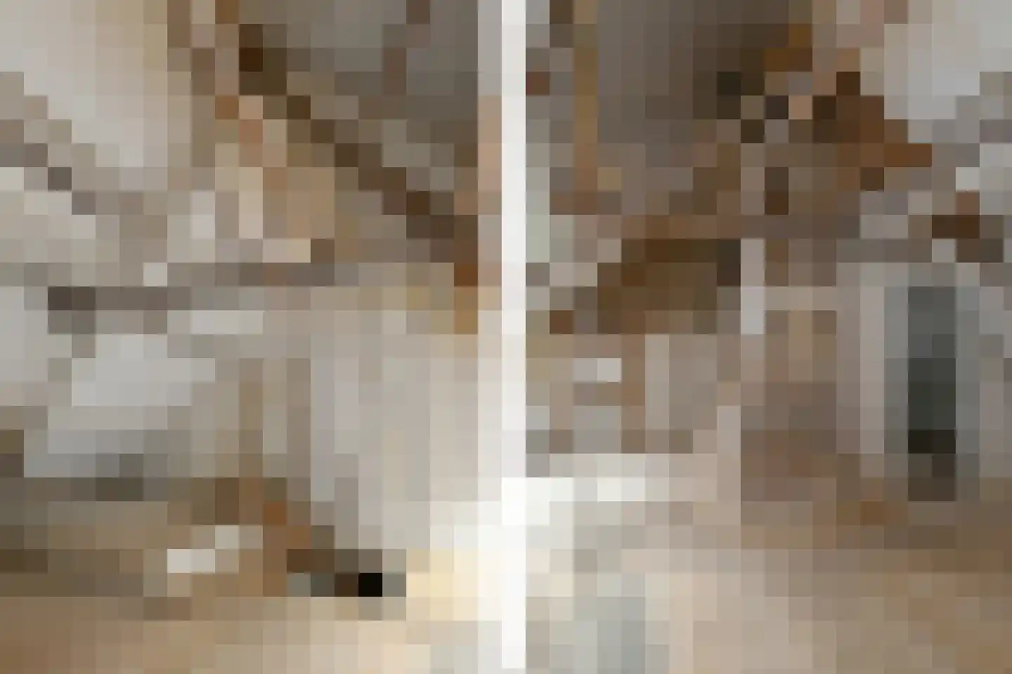 Boutestraat 18 Swalmen thumbnail 17