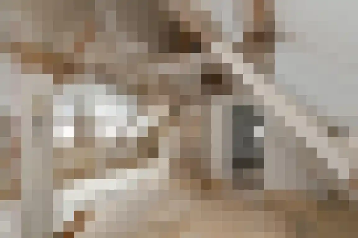 Boutestraat 18 Swalmen thumbnail 17