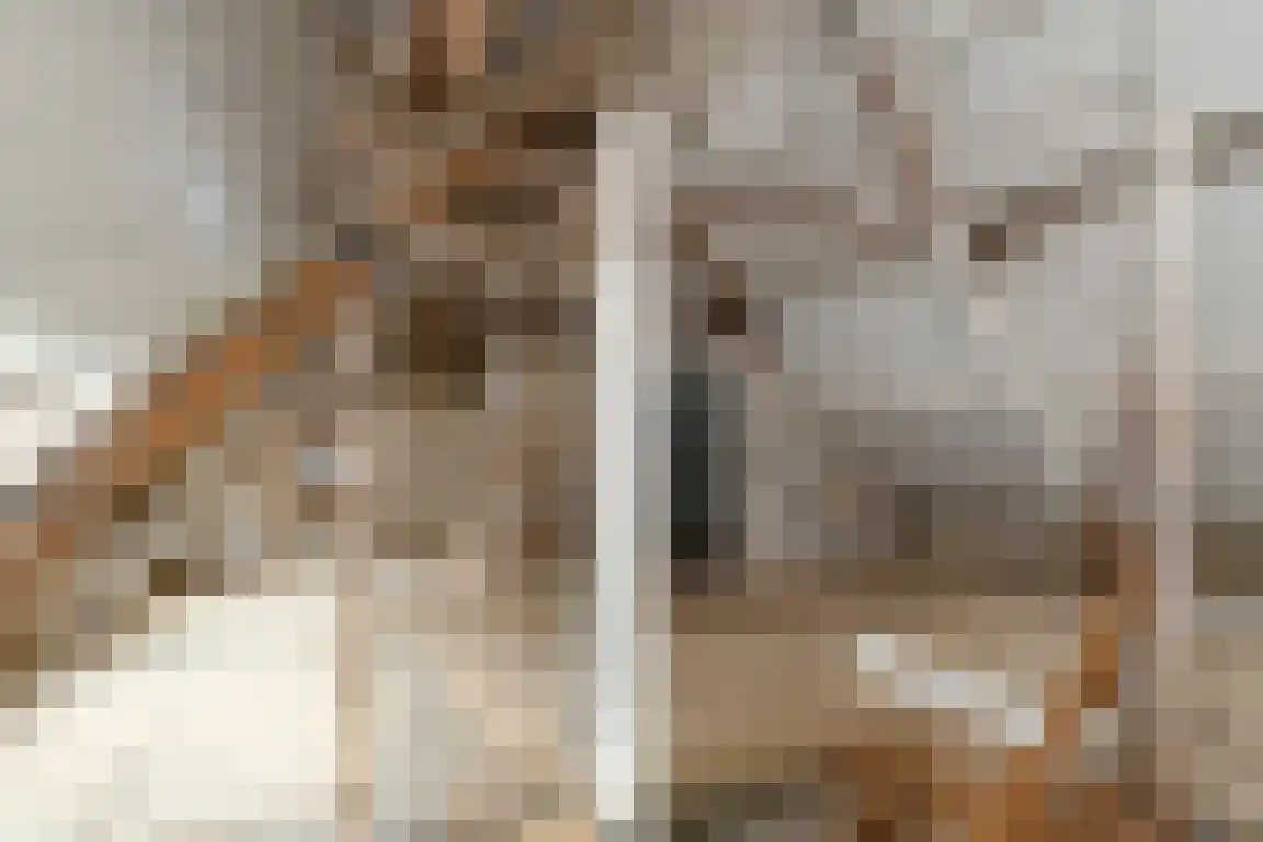 Boutestraat 18 Swalmen thumbnail 19