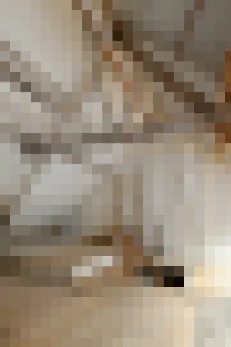 Boutestraat 18 Swalmen thumbnail 21