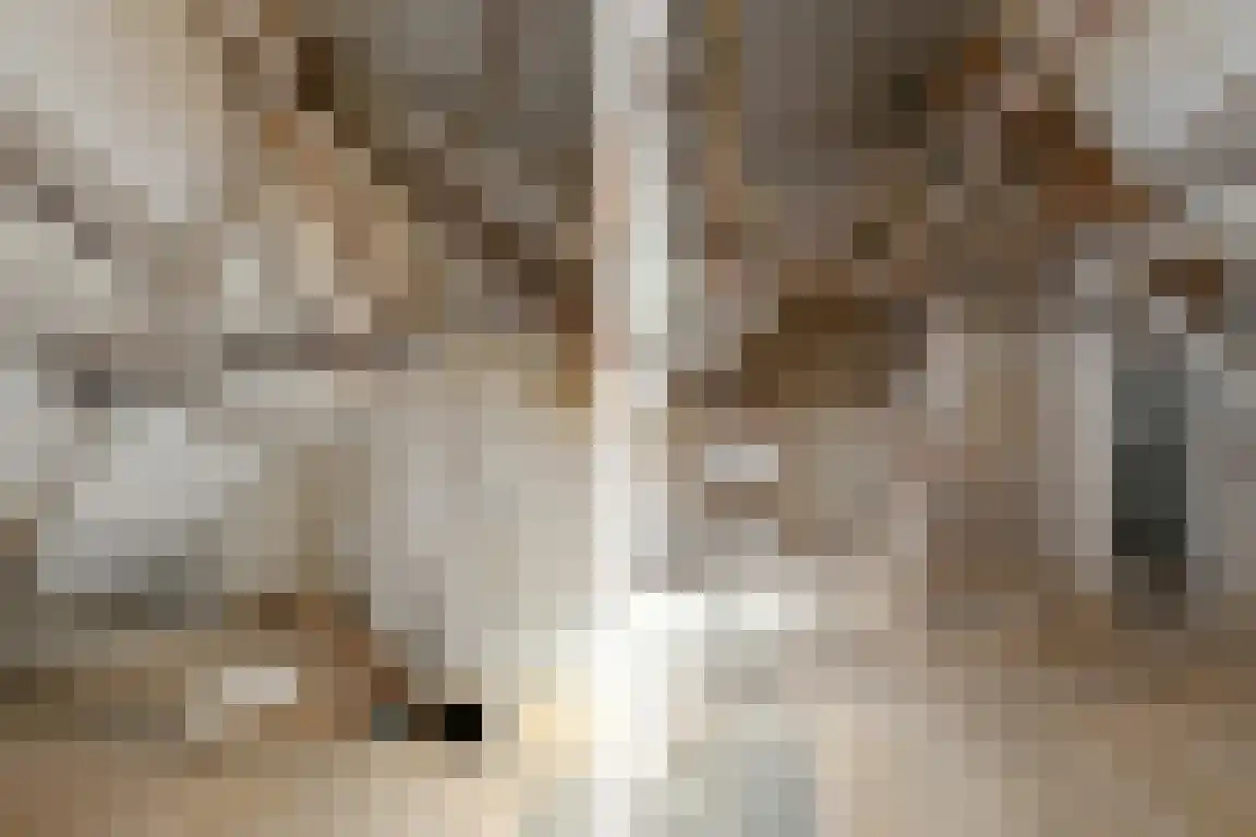Boutestraat 18 Swalmen thumbnail 23