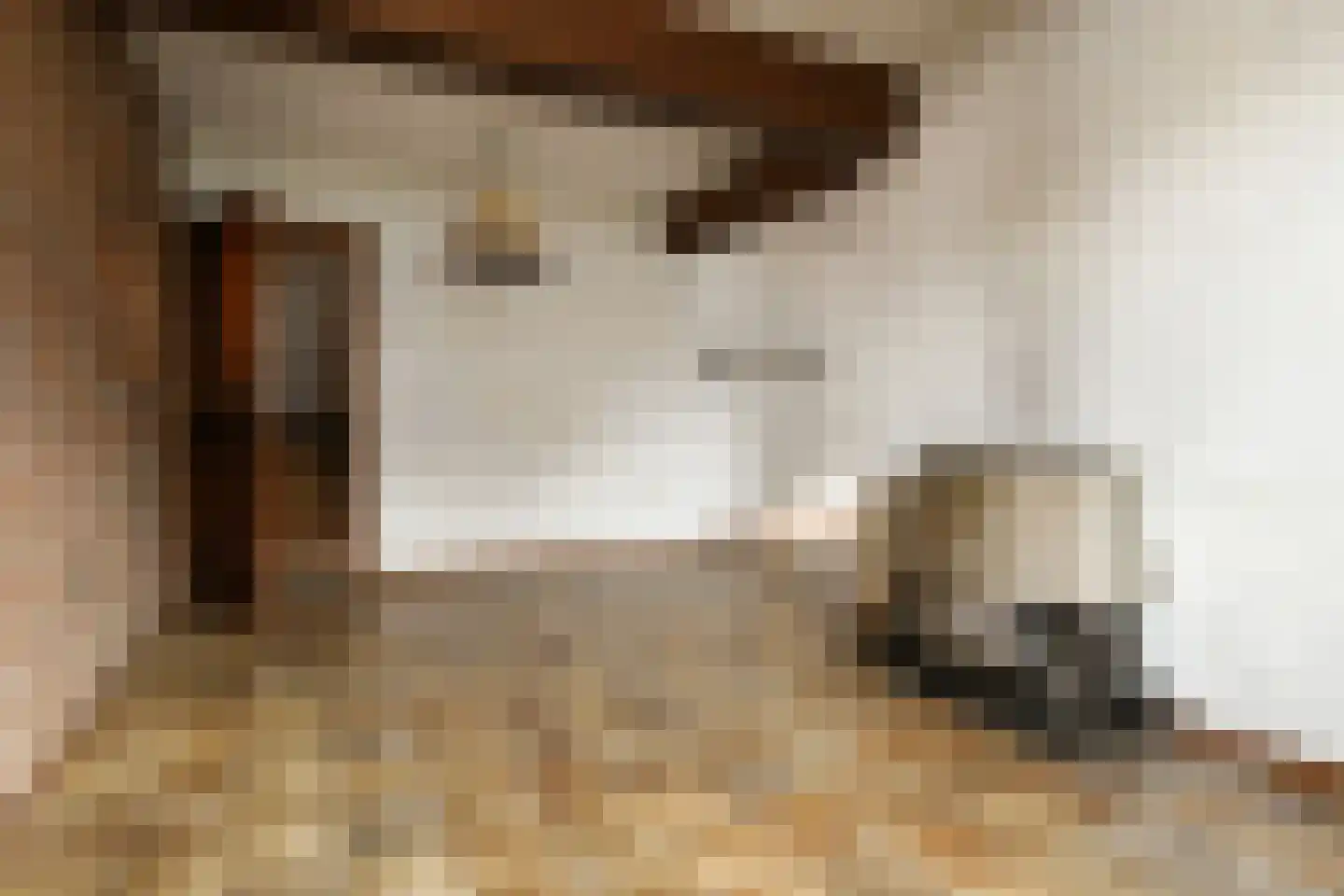 Boutestraat 18 Swalmen thumbnail 5