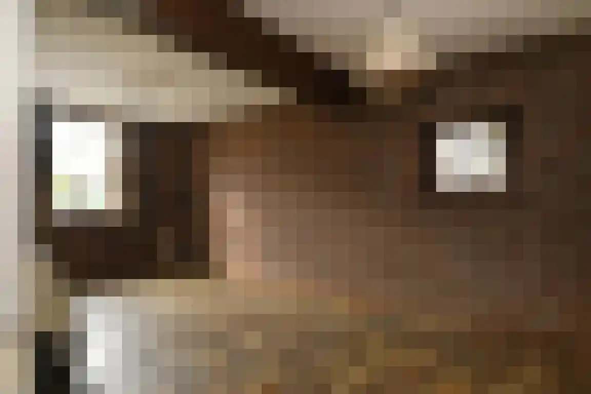Boutestraat 18 Swalmen thumbnail 6