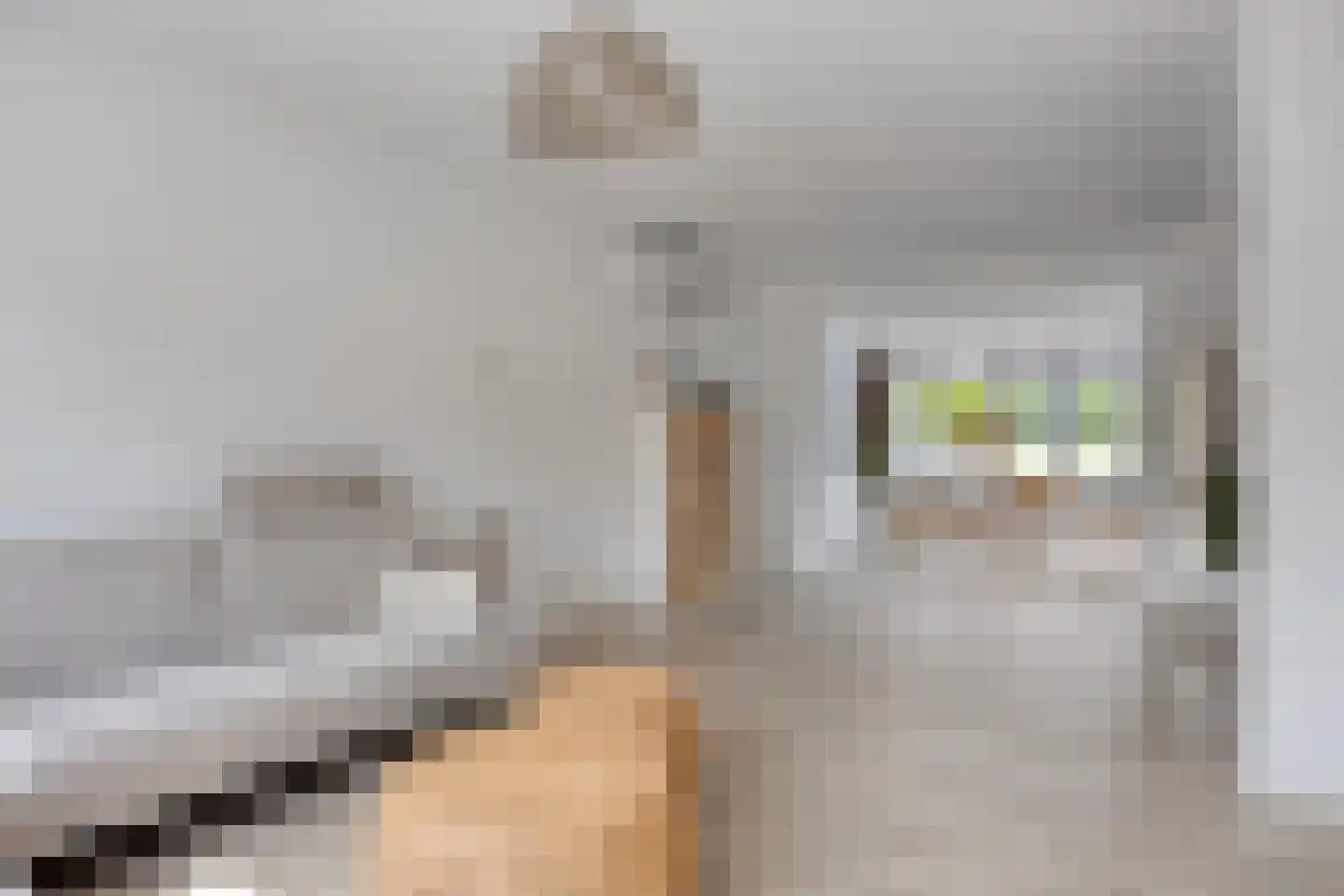 Boutestraat 20 Swalmen thumbnail 13