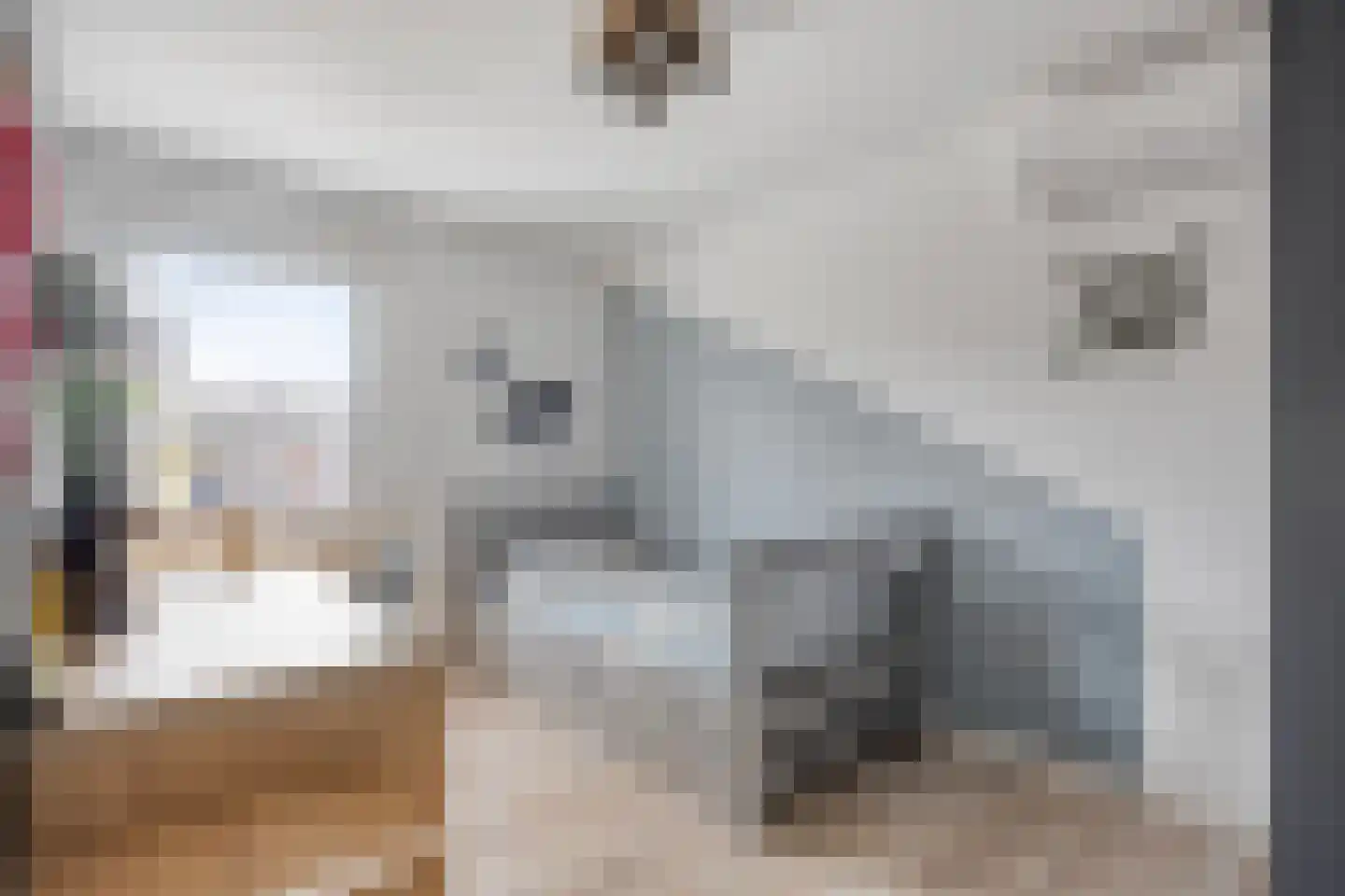 Boutestraat 20 Swalmen thumbnail 36