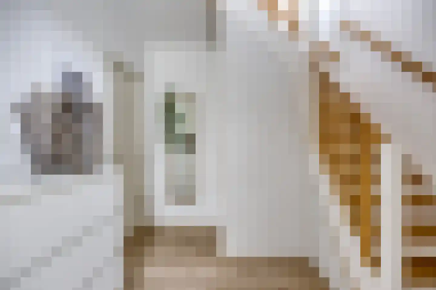 Boutestraat 20 Swalmen thumbnail 6