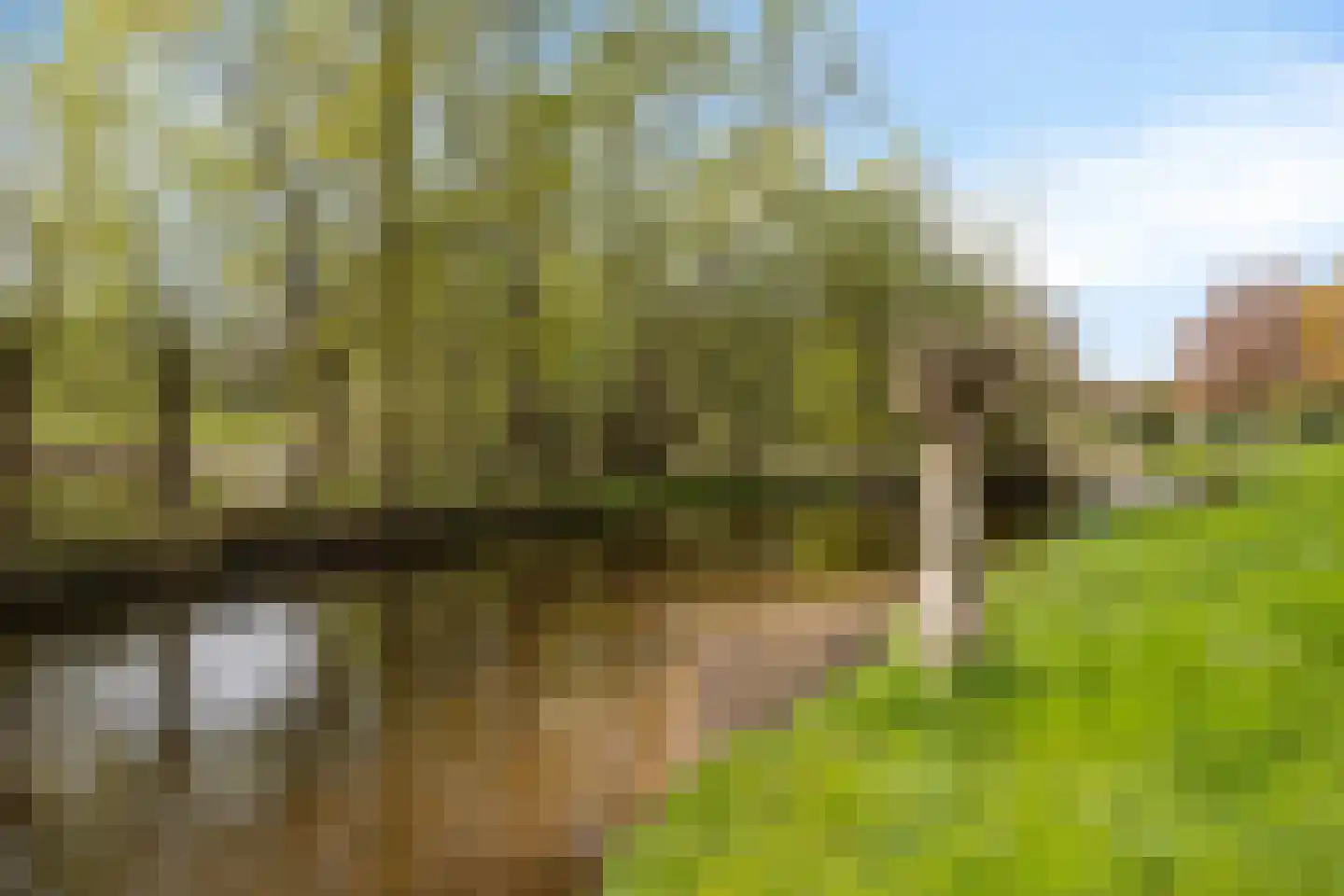 Boutestraat 20 Swalmen thumbnail 62