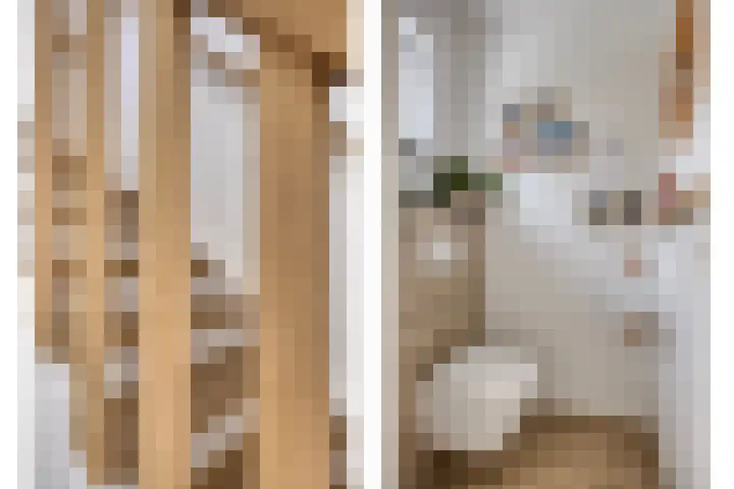 Boutestraat 20 Swalmen thumbnail 7