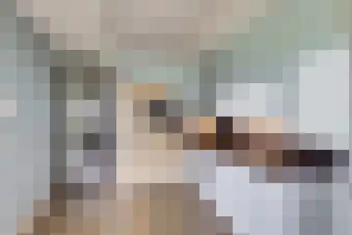 Boutlaan 38 Herwijnen thumbnail 14