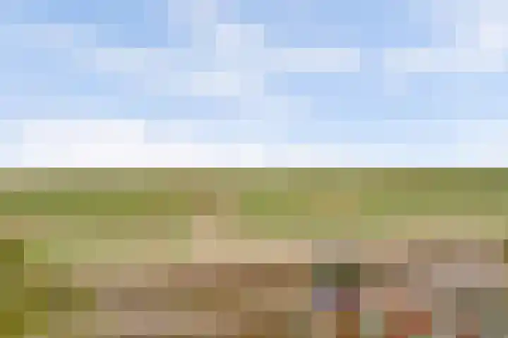 Boutlaan 38 Herwijnen thumbnail 26