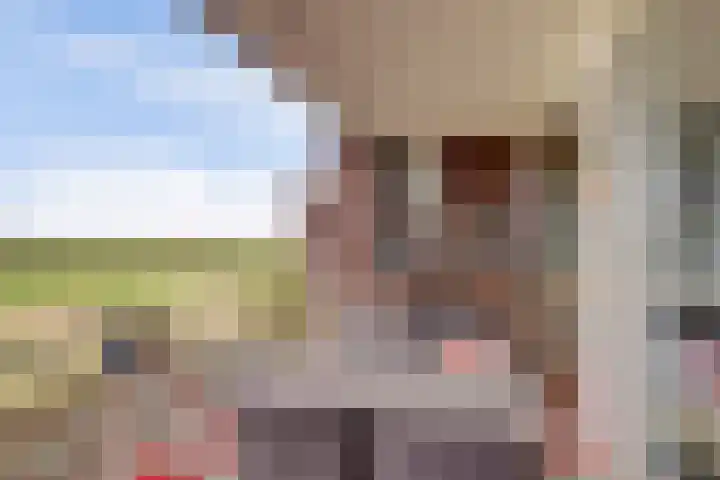 Boutlaan 38 Herwijnen thumbnail 8