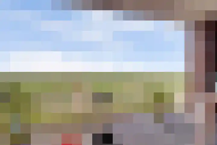 Boutlaan 38 Herwijnen thumbnail 9