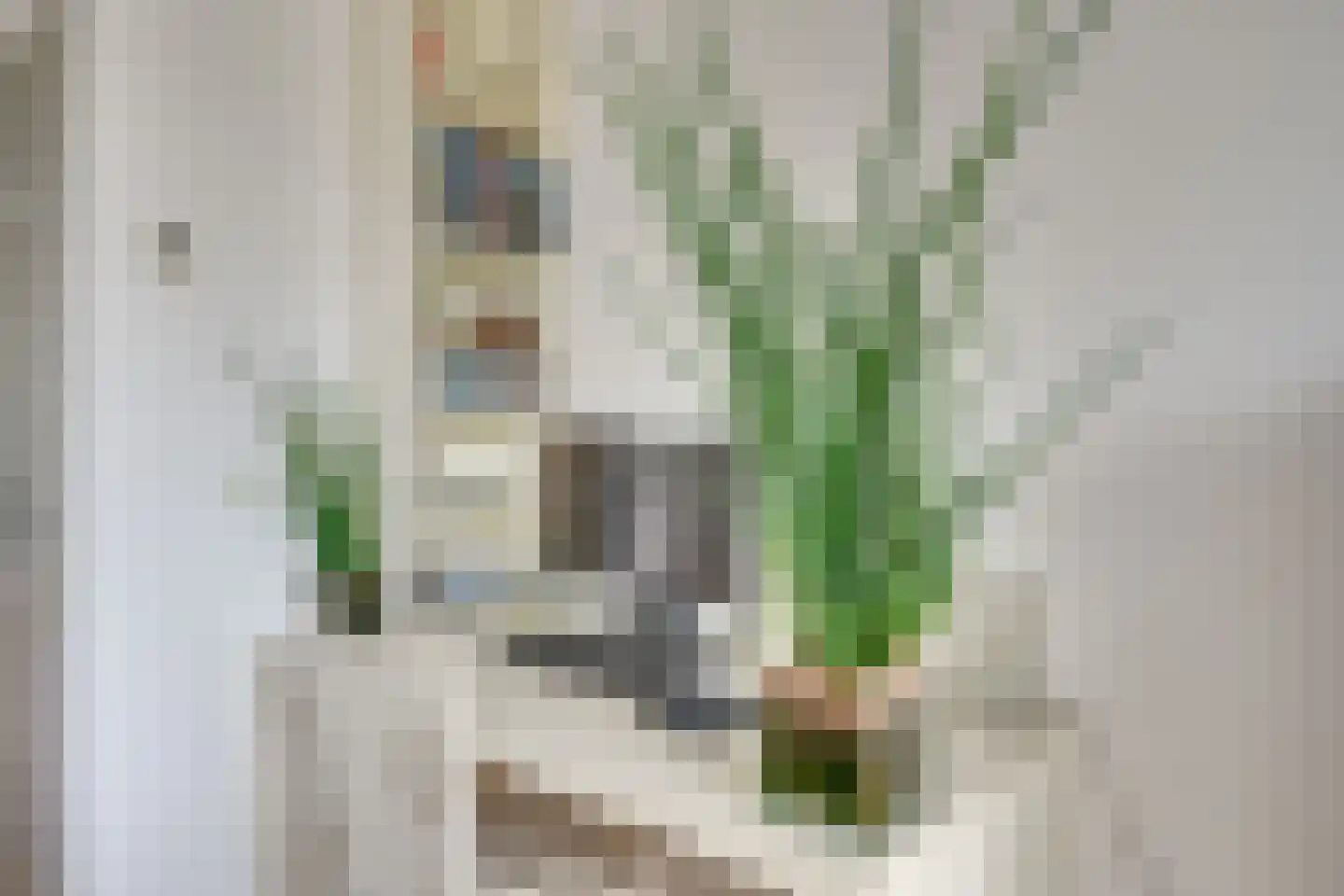 Bouvigne 112 Eindhoven thumbnail 14