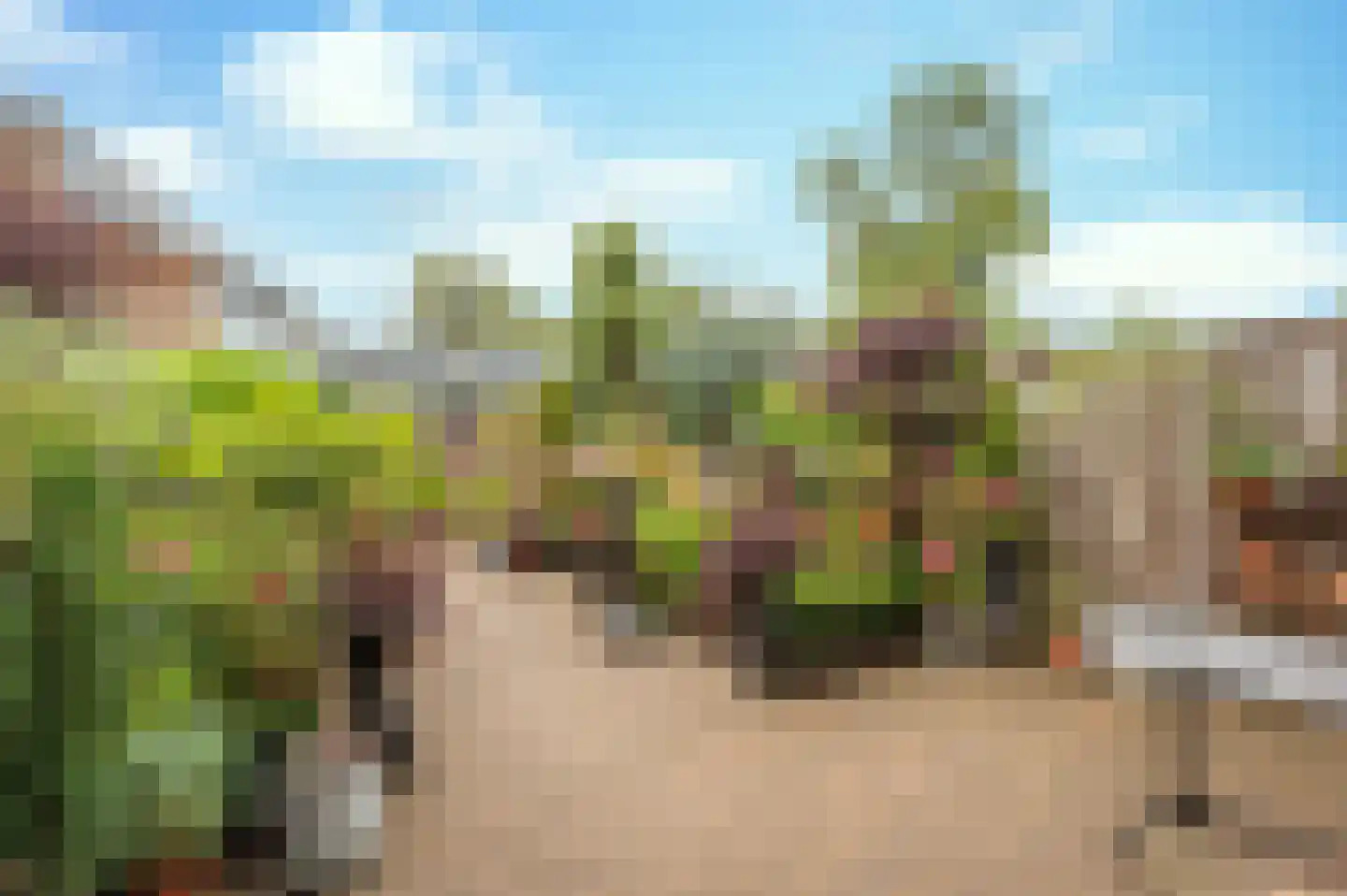 Bouvigne 112 Eindhoven thumbnail 29