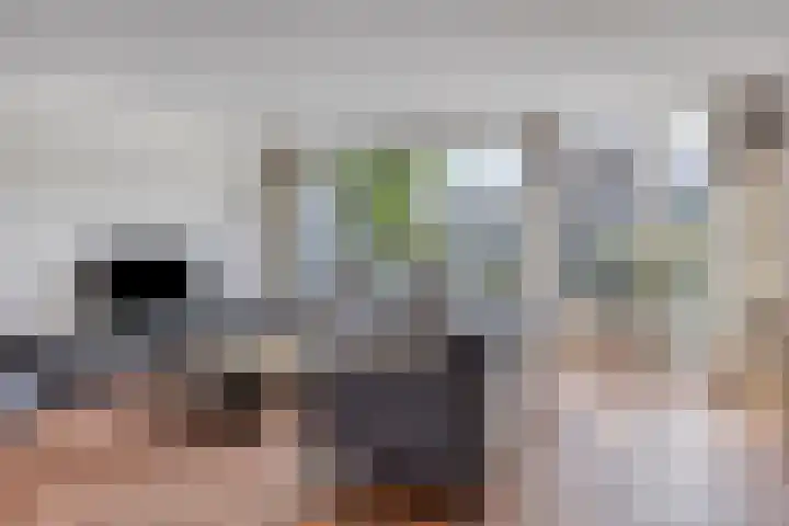 Bouvigne 122 Eindhoven thumbnail 10