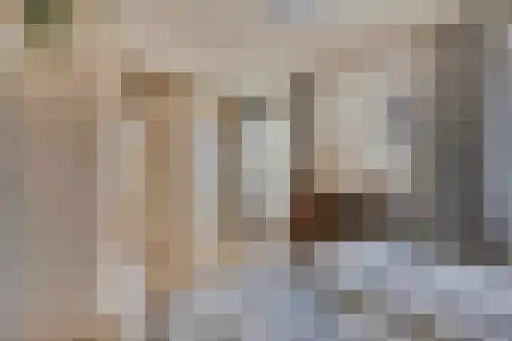 Bouvigne 122 Eindhoven thumbnail 21