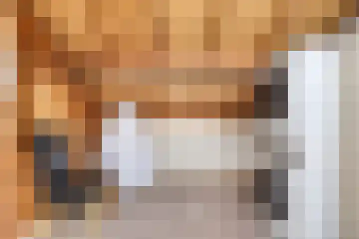 Bouvigne 122 Eindhoven thumbnail 31
