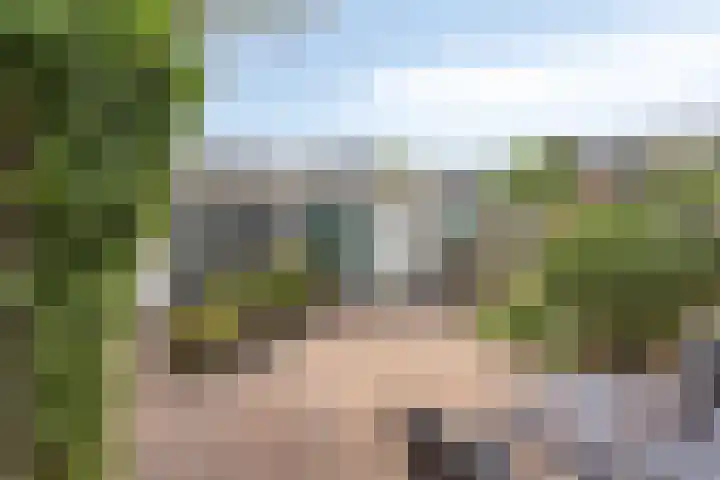Bouvigne 122 Eindhoven thumbnail 34