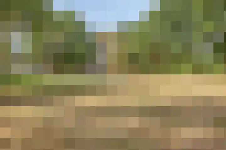 Bouvigne 122 Eindhoven thumbnail 44
