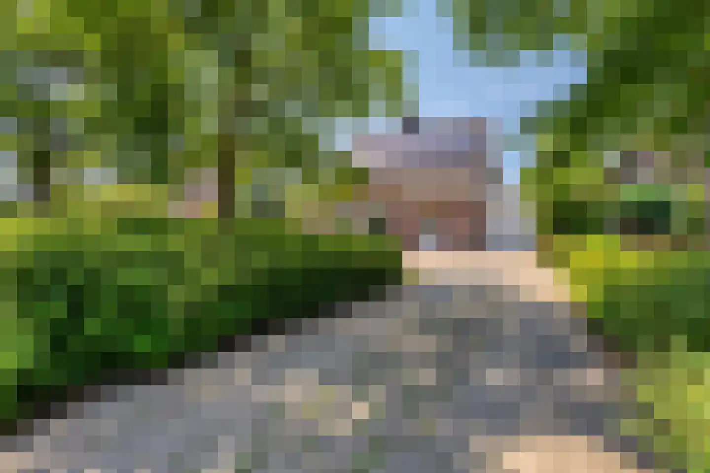 Bouvigne 13 Eindhoven thumbnail 43