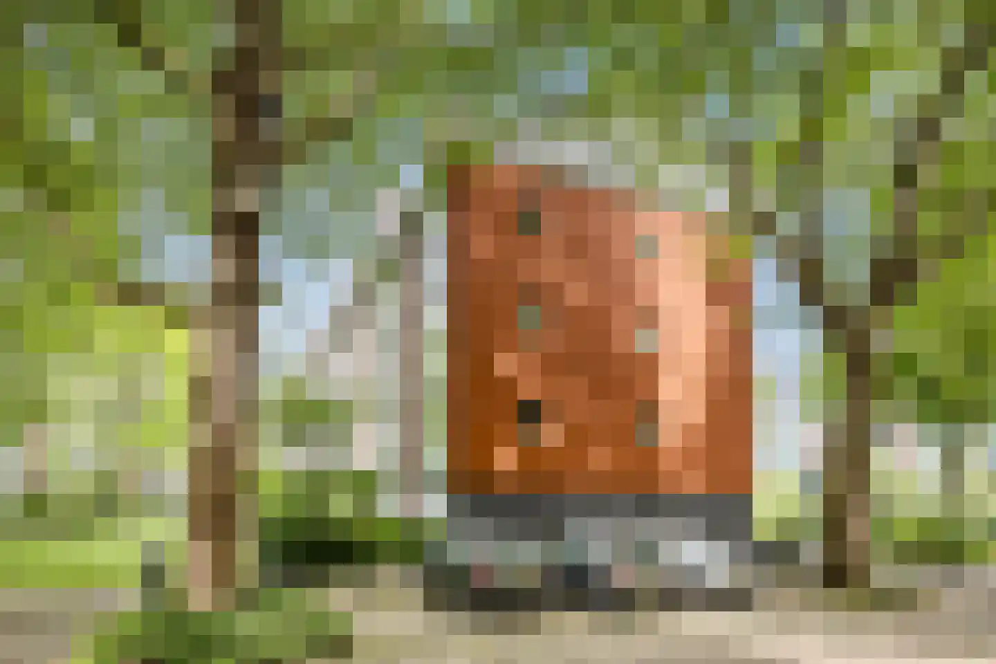 Bouvigne 16 1 Amsterdam thumbnail 19