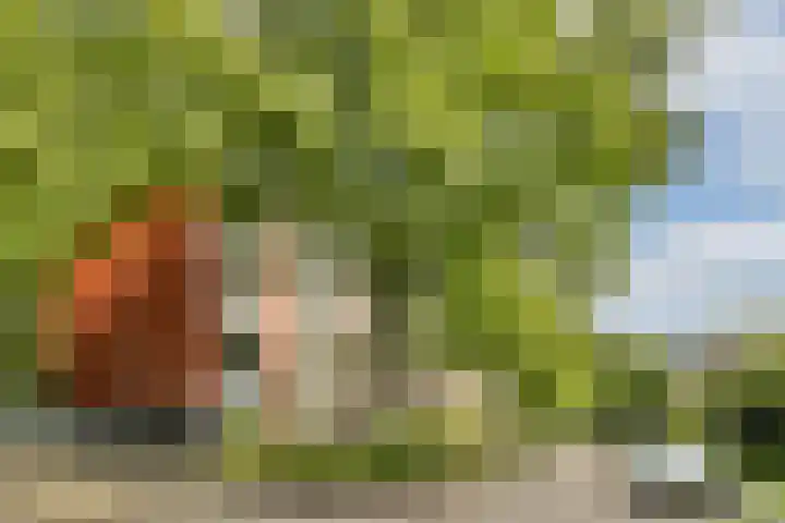 Bouvigne 16 2 Amsterdam thumbnail 32