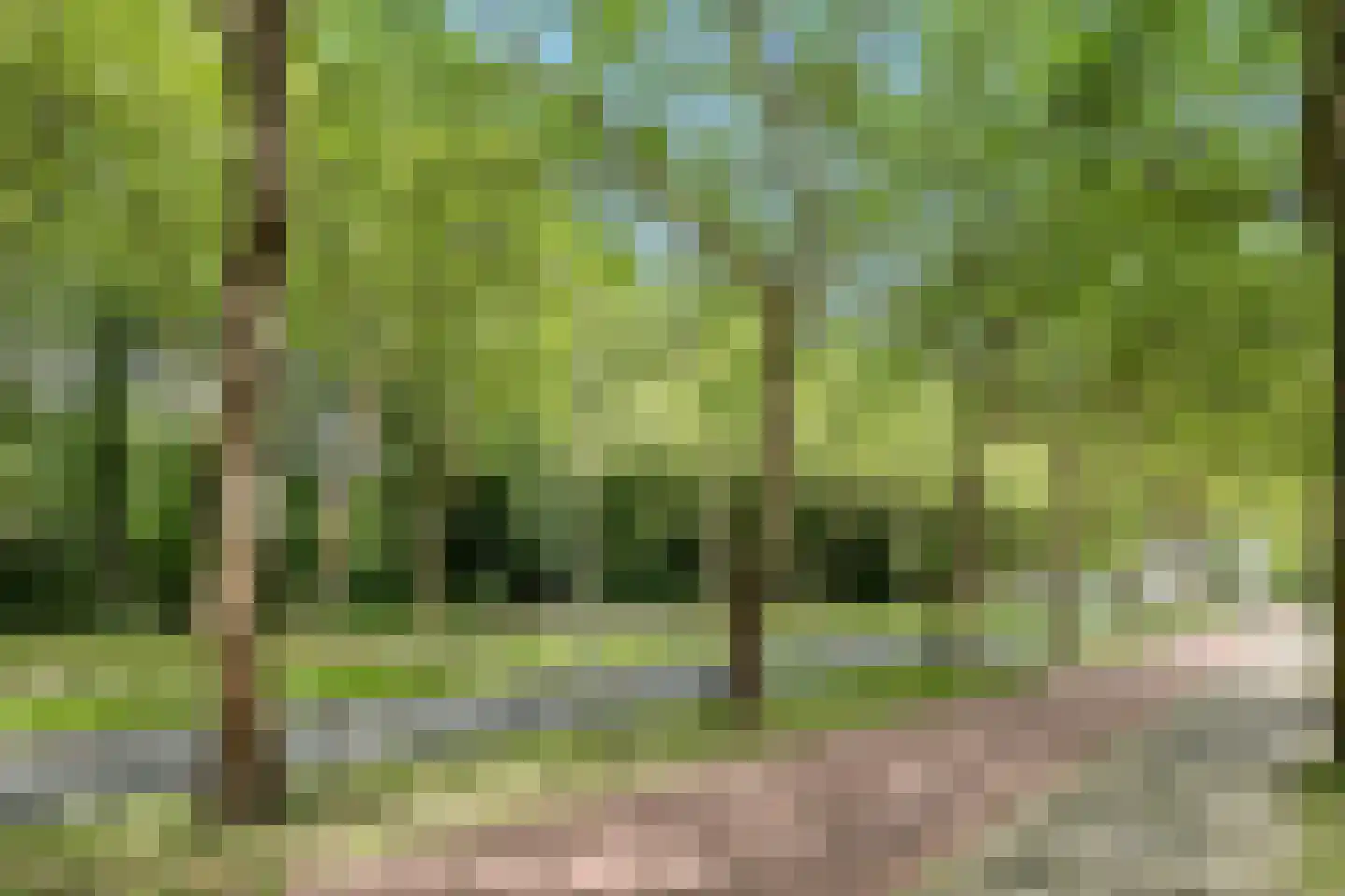 Bouvigne 16 3 Amsterdam thumbnail 22