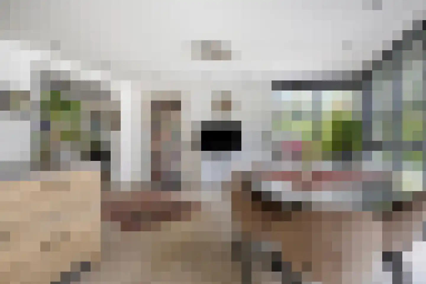 Bouvigne 17 Eindhoven thumbnail 17