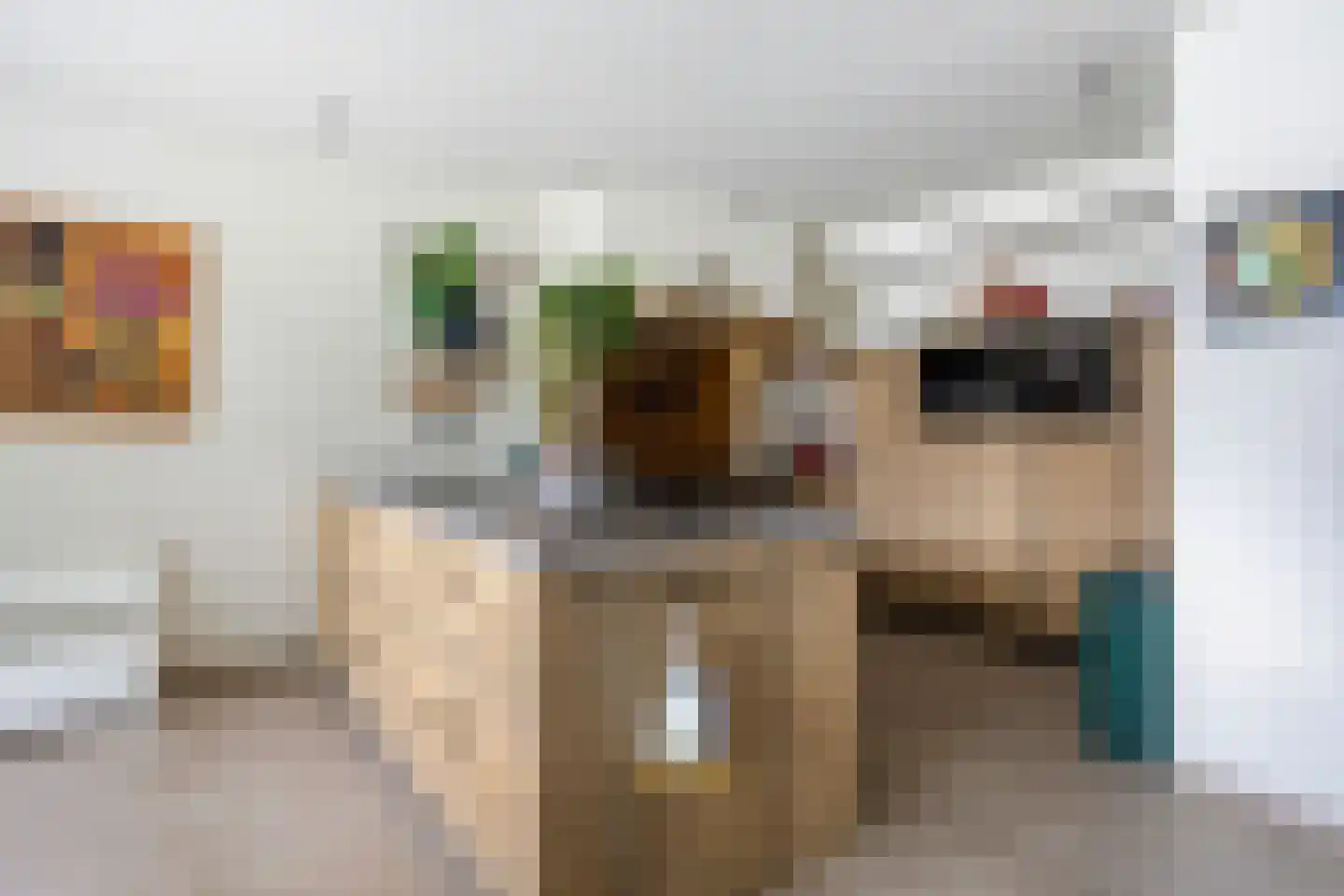 Bouvigne 17 Eindhoven thumbnail 19