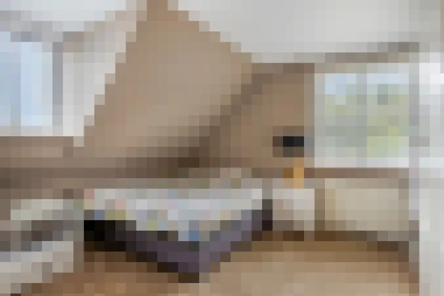 Bouvigne 17 Eindhoven thumbnail 23