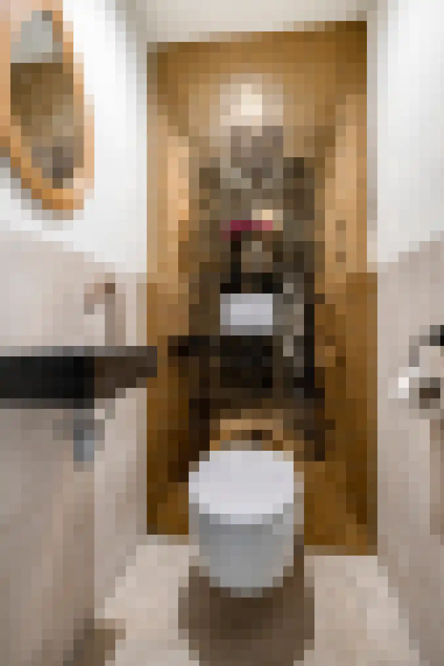 Bouvigne 17 Eindhoven thumbnail 9